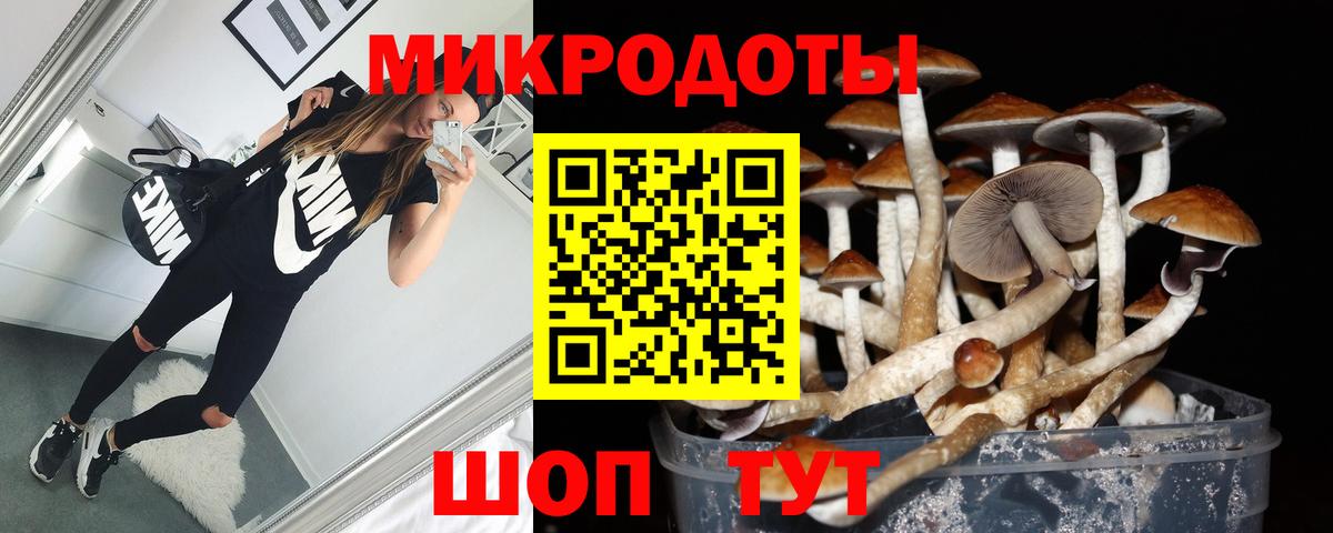 Галлюциногенные грибы прущие грибы Баксан