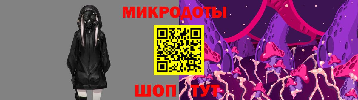 Галлюциногенные грибы прущие грибы  Вход с VPN  Баксан 