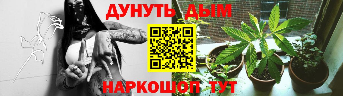 Канабис сатива  Вход с VPN  Бошки марихуана ГИДРОПОН  Канабис конопля  Баксан  Конопля индика 